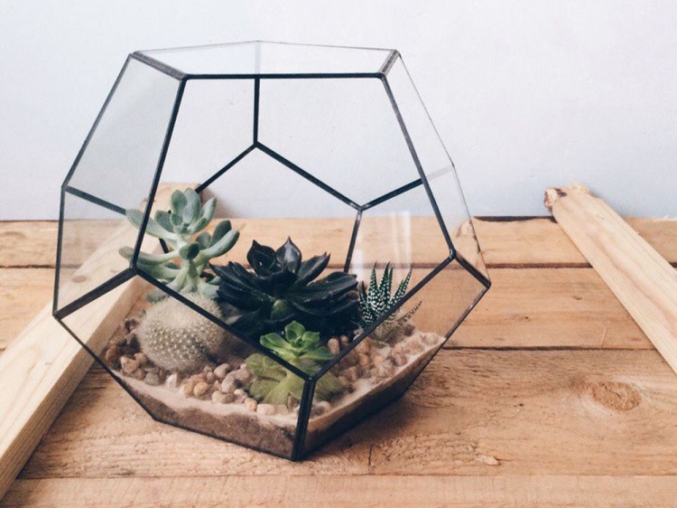 Флорариум додекаэдр маленький — картинка 5