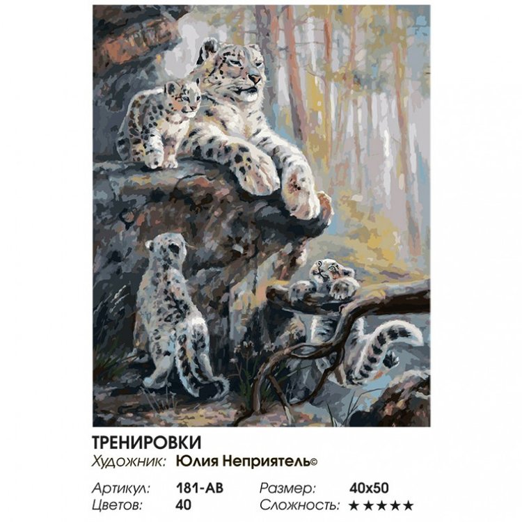 Картина по номерам «Тренировки» — картинка 2