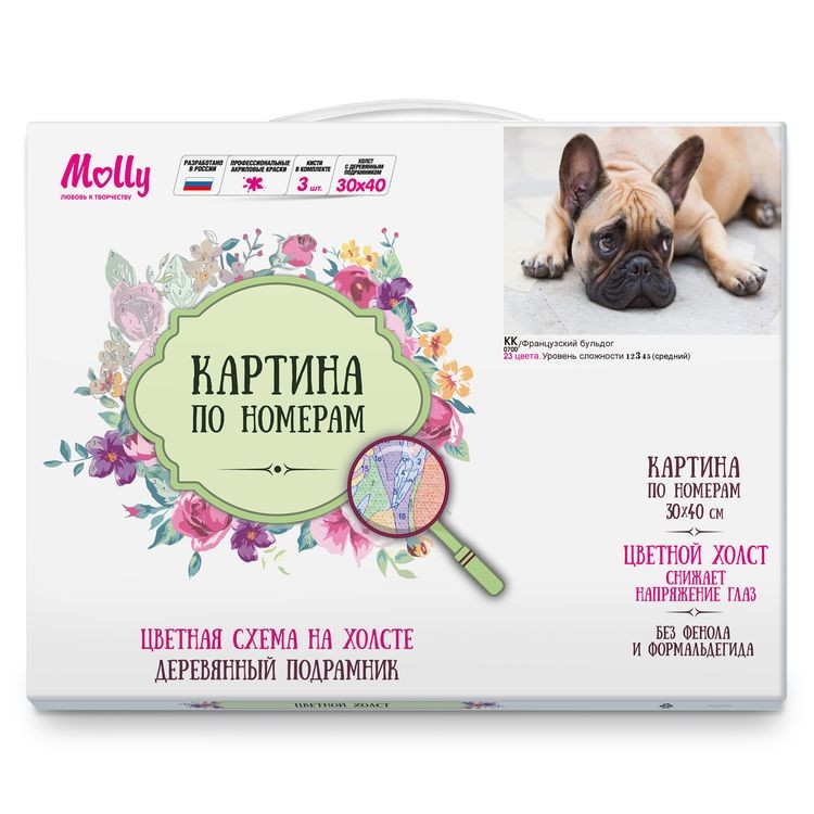 Картина по номерам «Французский бульдог» — картинка 2