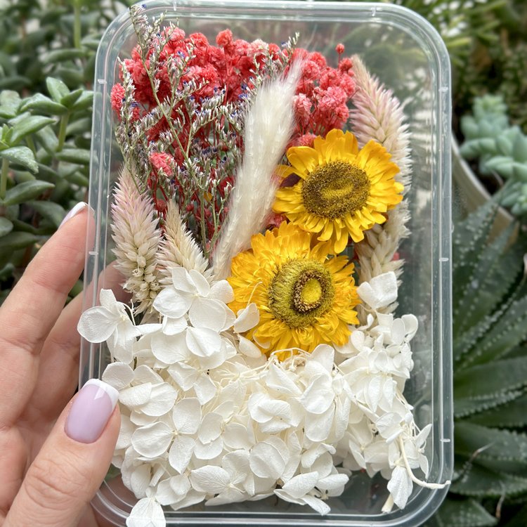 Набор сухоцветов №2, 1 упаковка — картинка 3