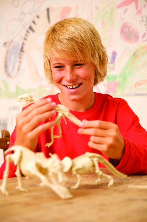 Набор юного археолога «Скелет Велоцираптора» — картинка 4