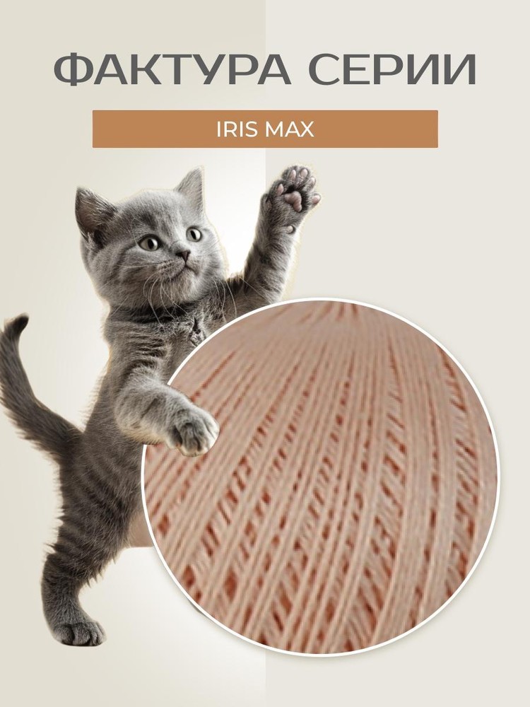 Пряжа Семеновская IRIS max (ИРИС макс) (131021), вереск 5 шт. по 100 г — картинка 3