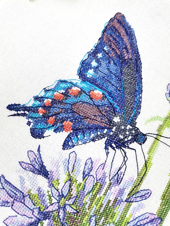 Набор для вышивания «Синий махаон» — картинка 3