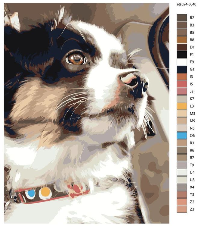 Картина по номерам «Взгляд» — картинка 2