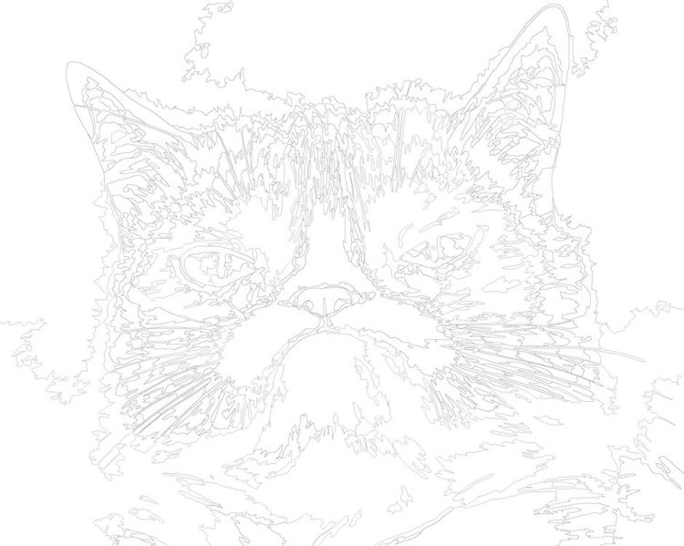 Картина по номерам «Мем: Grumpy cat / Грампи кэт, грустный кот» — картинка 3