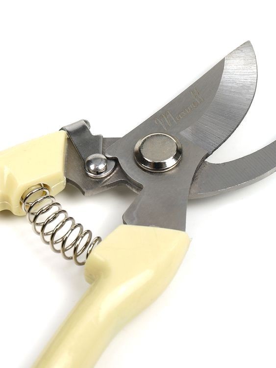 Секатор Maxwell изогнутое лезвие, 55/180 мм, ручки беж. пластик — картинка 10