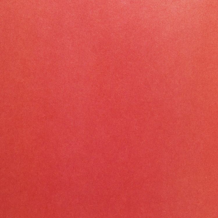 Цветная бумага А4 односторонняя «Птица», 24 листа, 24 цвета, Brauberg — картинка 4