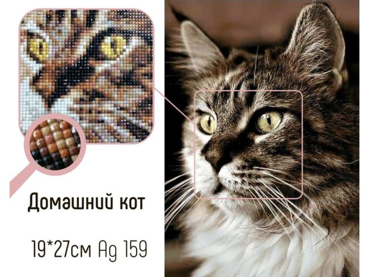 Алмазная вышивка «Домашний кот» — картинка 2