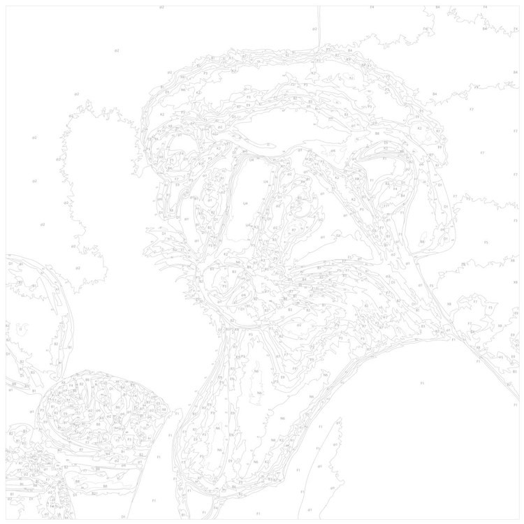 Картина по номерам «Выдра-аристократка» — картинка 3