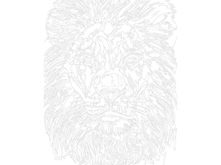 Картина по номерам «Красочный лев» — картинка 3