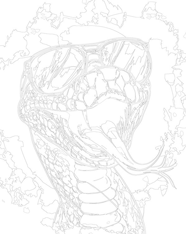 Картина по номерам «Змея в очках, Символ года, животные 40x50» — картинка 3