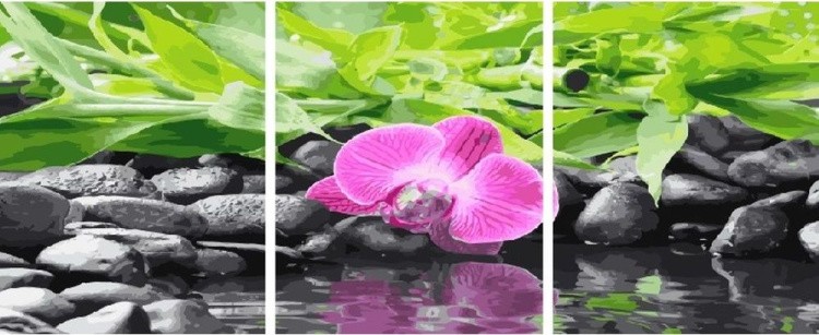 Картина по номерам «Розовый цветок у воды»