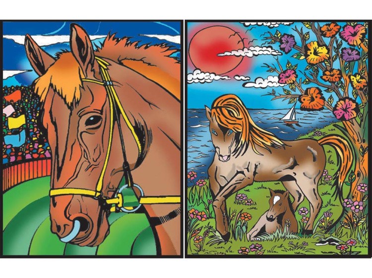 Папка-раскраска «Лошади» + 10 маркеров — картинка 2