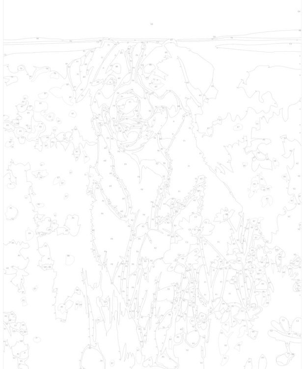 Картина по номерам «Собака в цветочном поле» — картинка 3