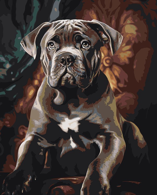Картина по номерам «Собака Кане корсо щенок в кресле»