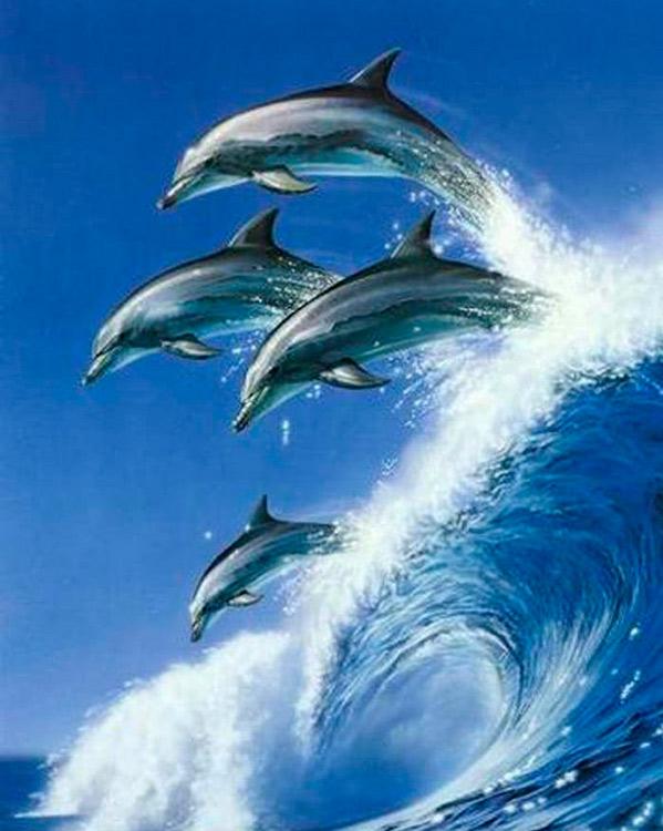 Алмазная вышивка «Дельфины на волне»