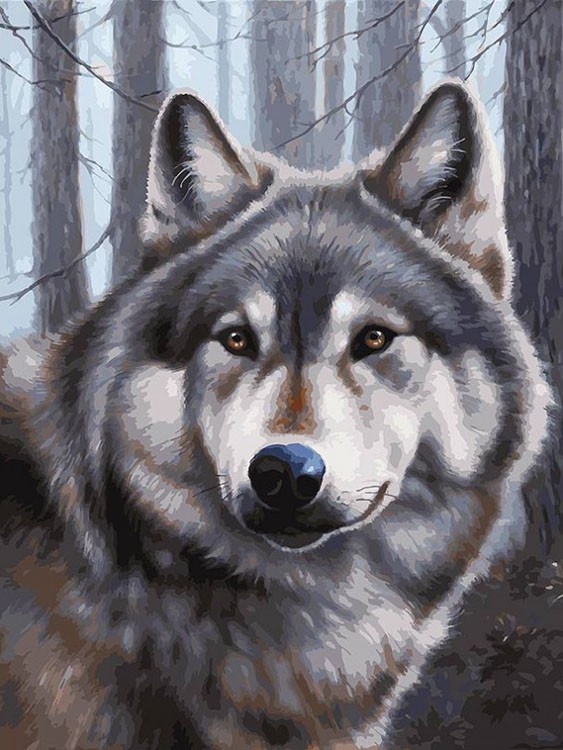 Картина по номерам «Волк»