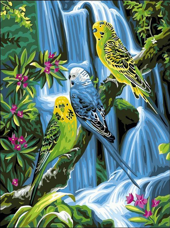 Картина по номерам «Волнистые попугайчики»