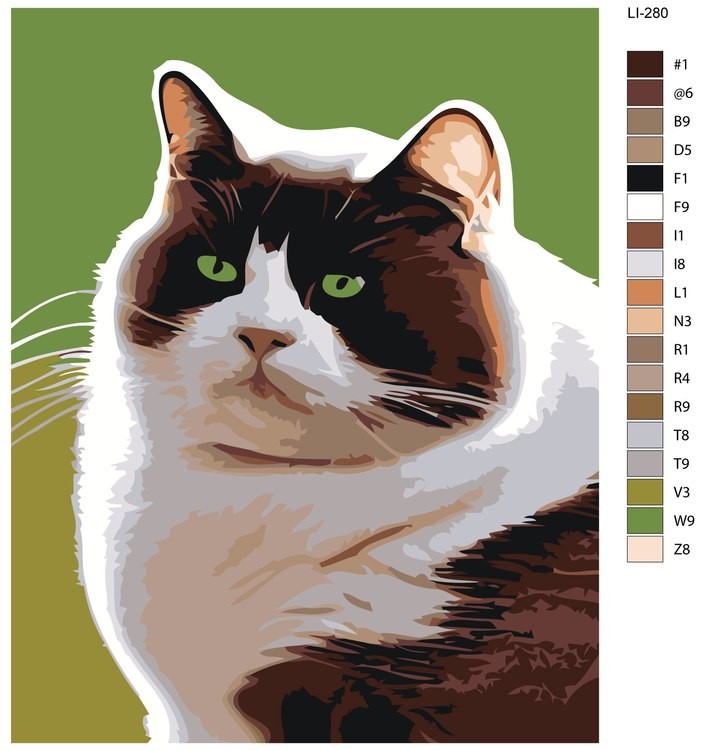 Картина по номерам «Черно-белый толстый котик» — картинка 2