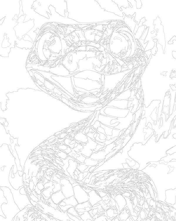 Картина по номерам «Веселая змея, Символ года, животные 40x50» — картинка 3