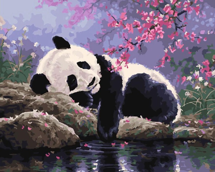 Картина по номерам «Панда у воды»