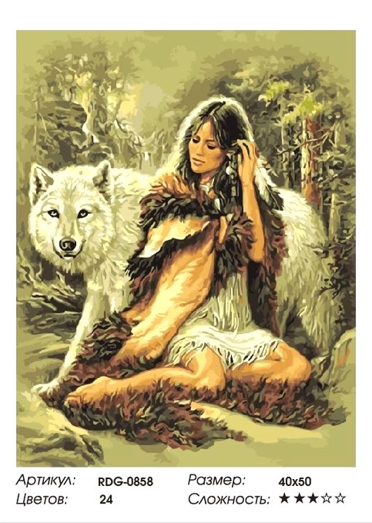 Картина по номерам «Девушка с волком» — картинка 2