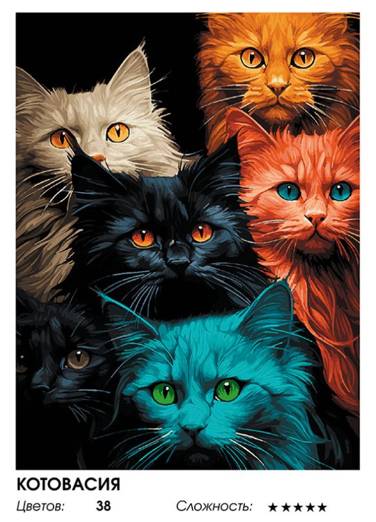 Картина по номерам «Котовасия» — картинка 2