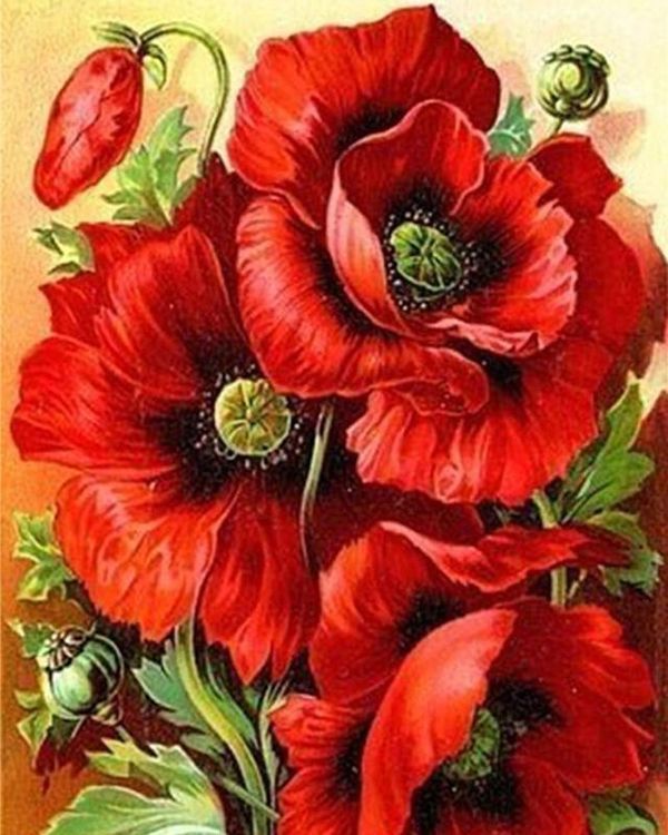 Алмазная вышивка «Прекрасные маки» — картинка 2