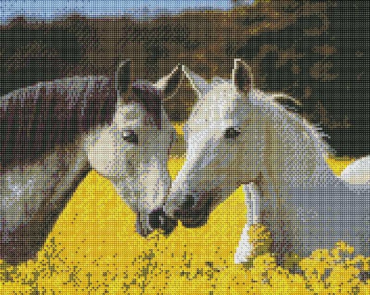Алмазная вышивка «Лошади в цветущем поле»