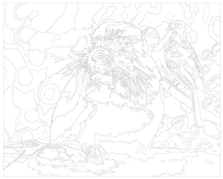 Картина по номерам «Капибара с красочной птицей» — картинка 3