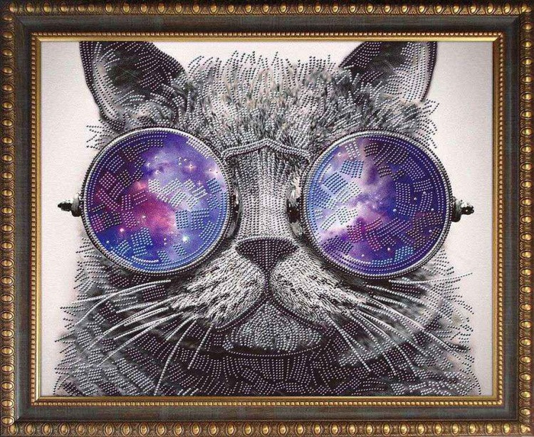 Алмазная вышивка «Кот в очках»