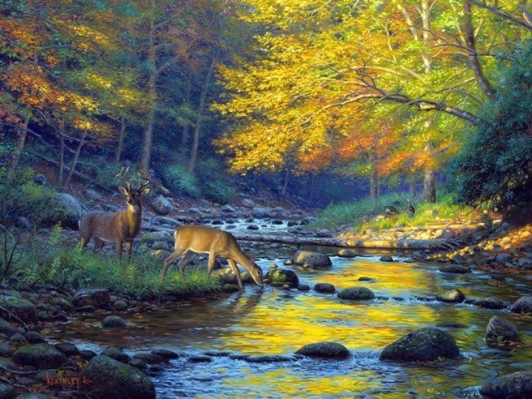 Алмазная вышивка «Олени у реки» — картинка 2