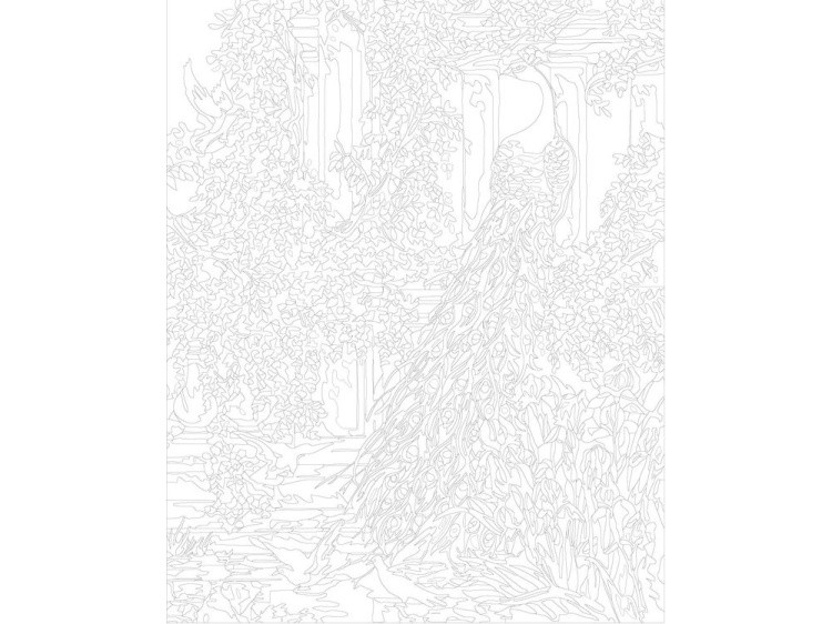 Картина по номерам «Королевский павлин» — картинка 3