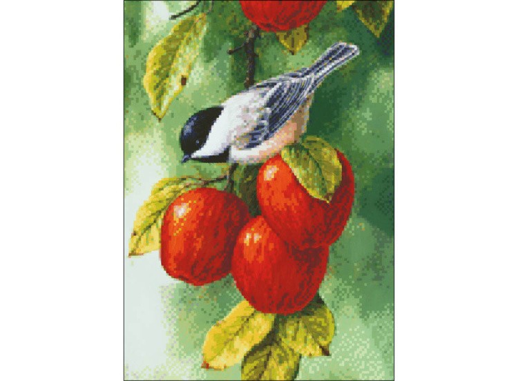 Алмазная вышивка «Синица во время сбора яблок» — картинка 2