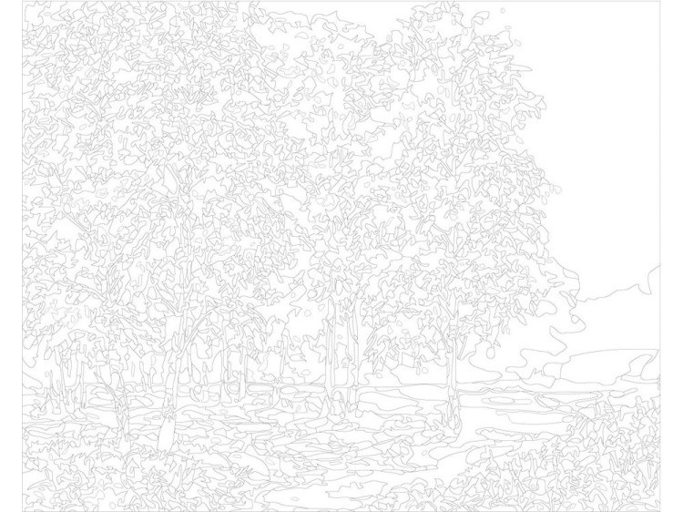 Картина по номерам «Берёзы» — картинка 3