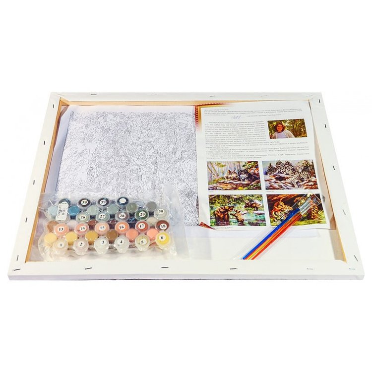 Картина по номерам «Тренировки» — картинка 3