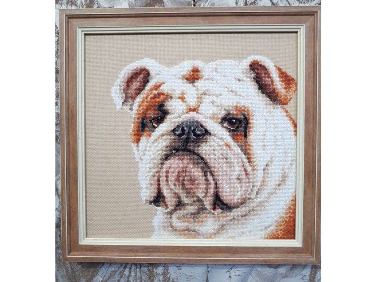 Набор для вышивания «Английский бульдог» — картинка 2