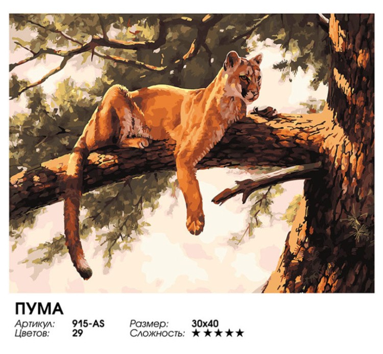 Картина по номерам «Пума» — картинка 2
