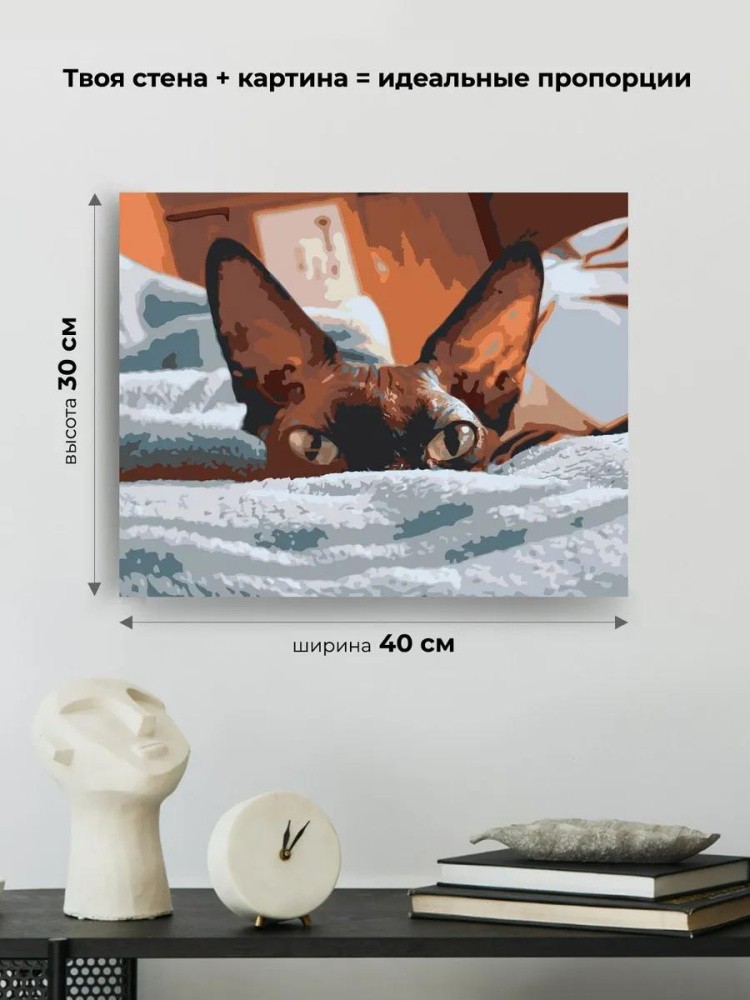 Картина по номерам «Канадский сфинкс» — картинка 3