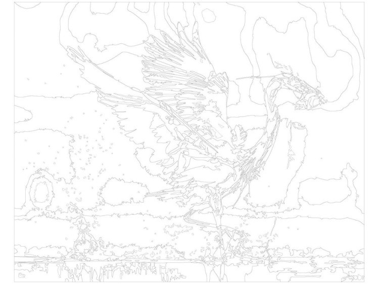Картина по номерам «Цапля с рыбой» — картинка 3