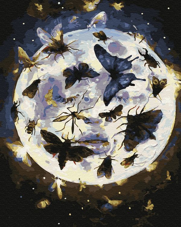 Картина по номерам «Лунные бабочки»