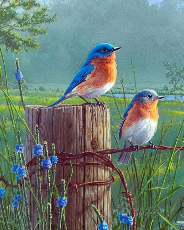 Алмазная вышивка «Птички» — картинка 2