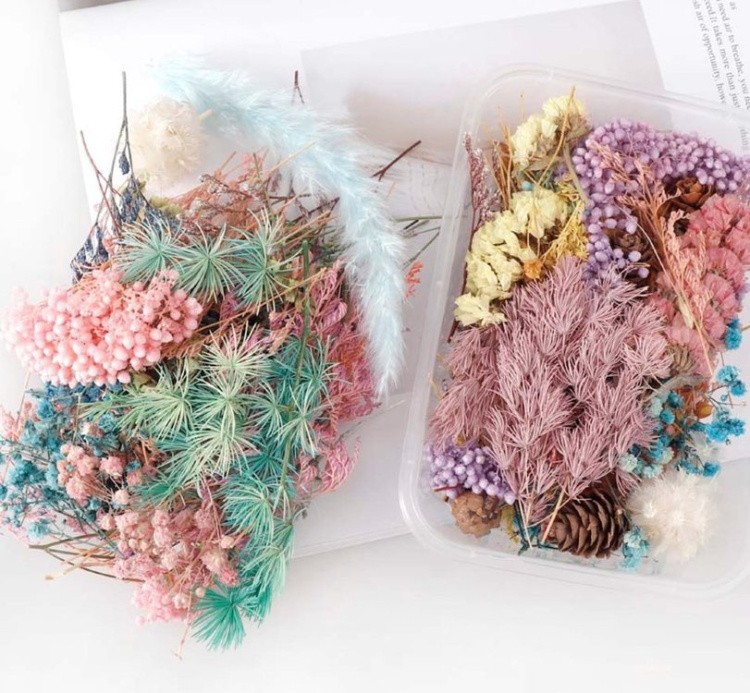 Набор сухоцветов, 1 упаковка — картинка 2