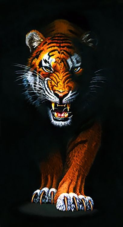 Алмазная вышивка «Преследующий тигр»