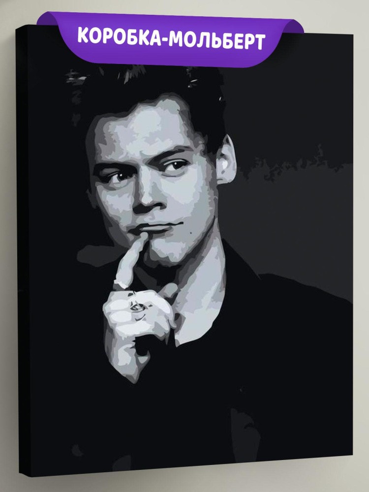 Картина по номерам «Гарри Стайлс»