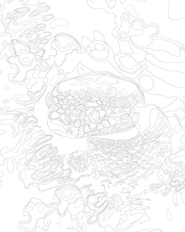 Картина по номерам «Зеленая змея на ёлке, Символ года 40x50» — картинка 3