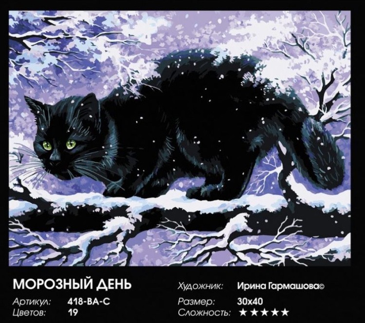 Картина по номерам «Морозный день» — картинка 2