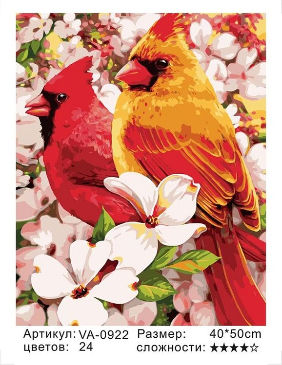 Картина по номерам «Кардиналы» — картинка 2