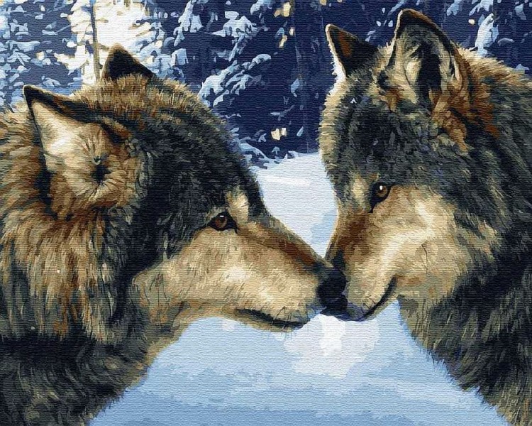 Картина по номерам «Пара волков»