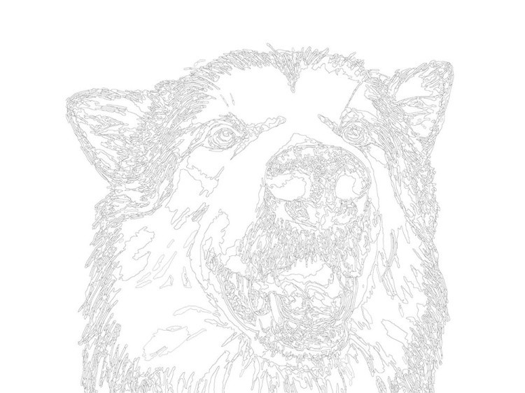 Картина по номерам «Вулфи» — картинка 3